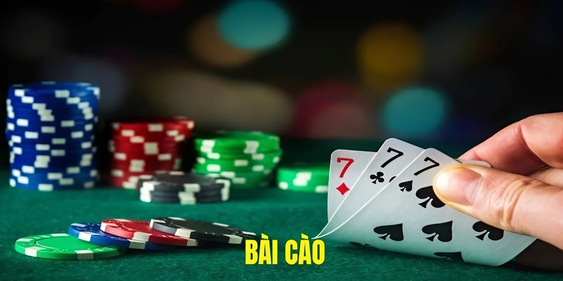 bài cào