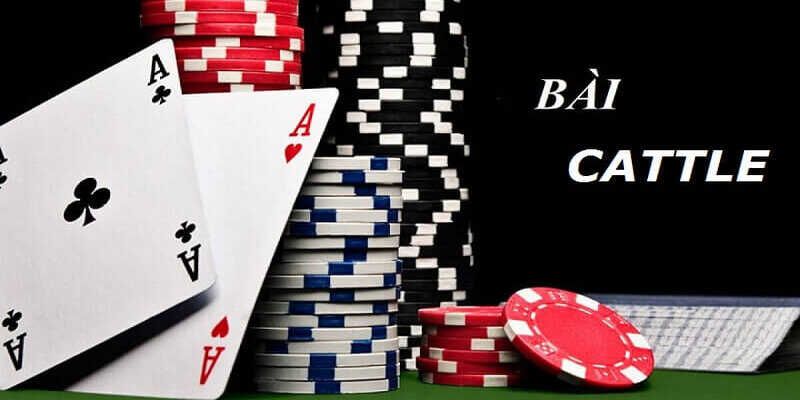 Những bí quyết chơi bài Cát Tê từ chuyên gia